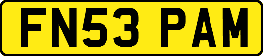 FN53PAM