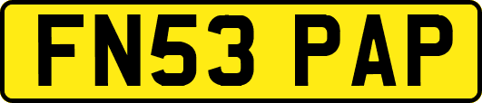 FN53PAP