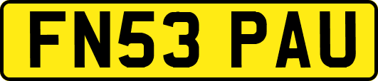 FN53PAU