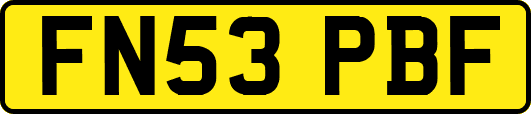 FN53PBF