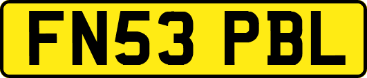 FN53PBL