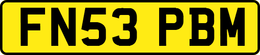 FN53PBM
