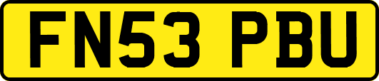 FN53PBU