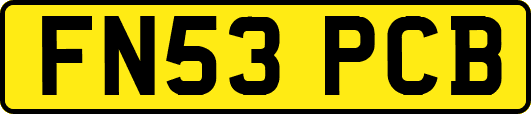 FN53PCB