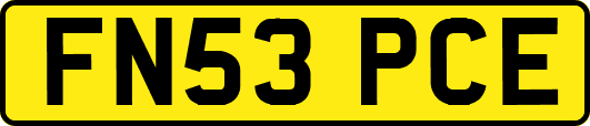 FN53PCE