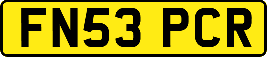 FN53PCR