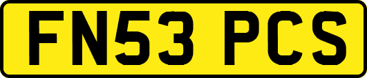 FN53PCS