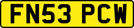 FN53PCW