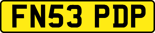 FN53PDP
