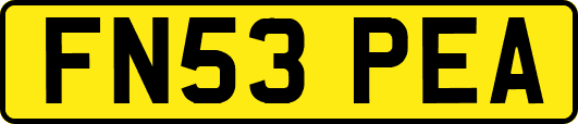 FN53PEA