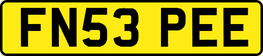 FN53PEE