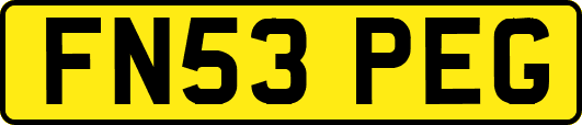 FN53PEG