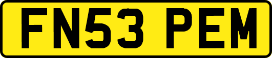 FN53PEM