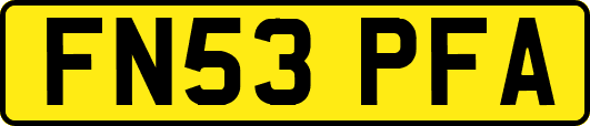 FN53PFA