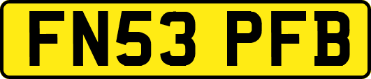 FN53PFB