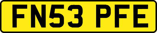 FN53PFE