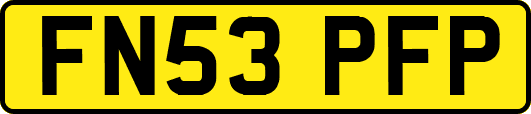FN53PFP