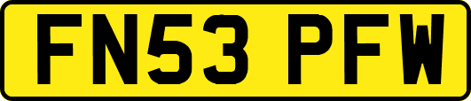 FN53PFW