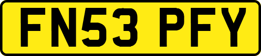 FN53PFY