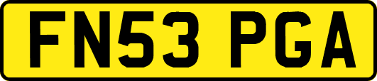 FN53PGA