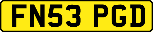 FN53PGD
