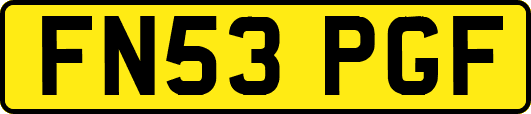 FN53PGF