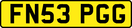 FN53PGG