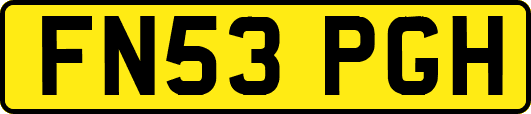 FN53PGH