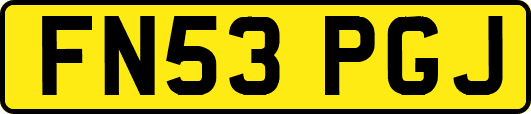 FN53PGJ