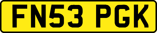 FN53PGK