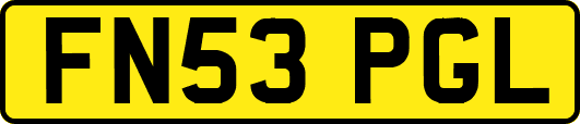 FN53PGL