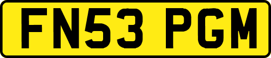 FN53PGM