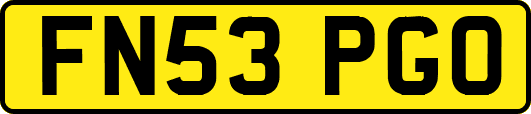 FN53PGO
