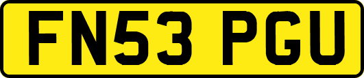 FN53PGU