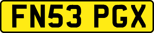 FN53PGX