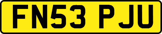 FN53PJU