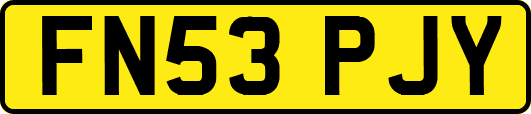 FN53PJY