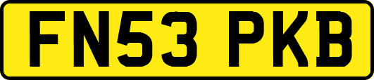 FN53PKB