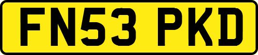 FN53PKD