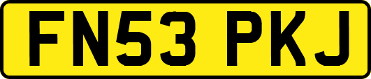 FN53PKJ