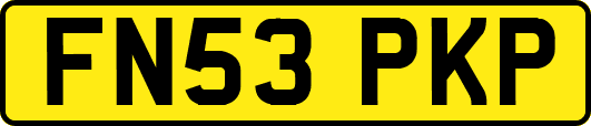 FN53PKP