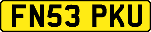 FN53PKU