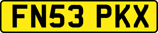 FN53PKX