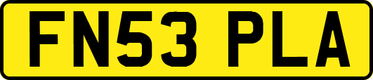 FN53PLA