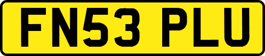 FN53PLU