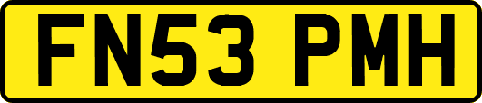 FN53PMH
