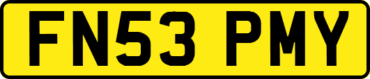 FN53PMY