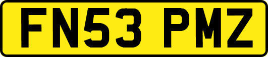FN53PMZ