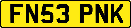 FN53PNK