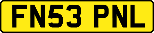 FN53PNL